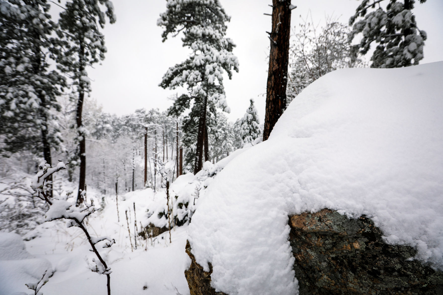 May Snowstorm